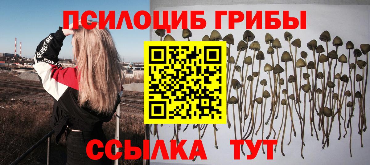Находка  Галлюциногенные грибы MAGIC MUSHROOMS  Вход с VPN  Галлюциногенные грибы прущие грибы 
